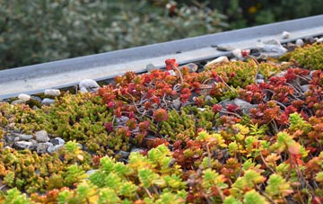 the cost of Ellough green roof installation