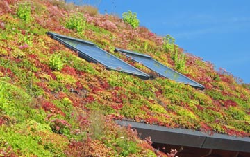 Ellough living roof systems