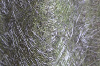 Ellough fibreglass roof work